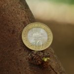 Обучение трейдингу и инвестированию в криптовалюты с нуля