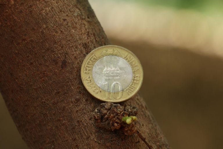 Обучение трейдингу и инвестированию в криптовалюты с нуля