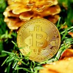 Обучение активному трейдингу и инвестированию в Канаде и США