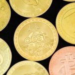 Профессиональное обучение трейдингу в Канаде